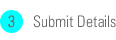 Step 3. Submit Details.